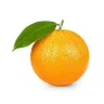 Orange2