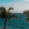 Cozako