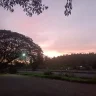 RRR_11